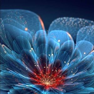 Meet your Posher, Yolanda